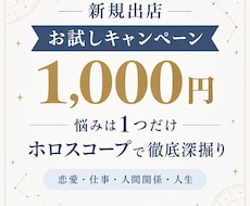 お試し特別記念価格￤悩みを1つ徹底的にみます イメージ1