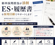 新卒採用担当がES・履歴書を添削します イメージ1