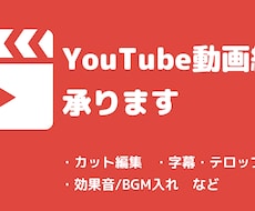 YouTube等の動画編集代行します イメージ1