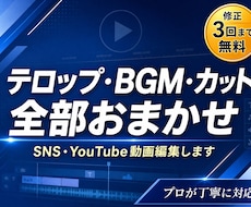 SNSの動画を編集します イメージ1