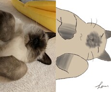 お家の猫ちゃんのイラストを描きます イメージ1