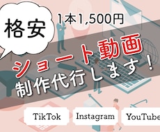 各SNSの動画編集代行します イメージ1