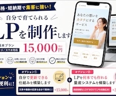 低価格で高品質なLPを制作します イメージ1