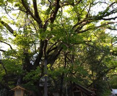 あなたのお悩み相談にのります イメージ1