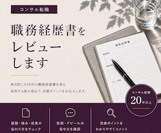 コンサル転職の職務経歴書を採用目線でレビューします イメージ1