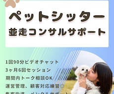 並走コンサルティングサポート(3ヶ月6回)承ります イメージ1