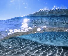 あなたの心に寄り添います イメージ1