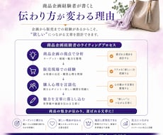 商品企画経験者が"欲しい"につながる文章を作ります イメージ1