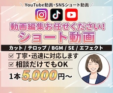 丸投げ | SNSショート動画を編集します TikTok,Instagram,YouTubeなど各SNS