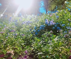 あなたの気持ちを第一にお話お聞きします イメージ1