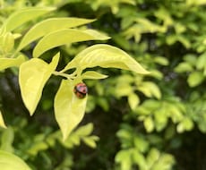お相手様の今の状況とあなた様へのお気持ちをみます イメージ1