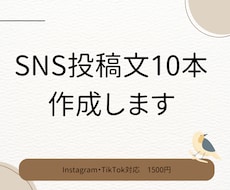 SNSで使える投稿文を10本作成します イメージ1