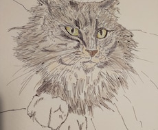 ペットのイラストを製作します イメージ1