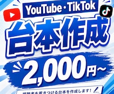 YouTube・TikTokの台本を作成します イメージ1