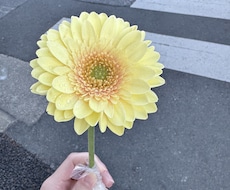 愚痴を受け止め前向きな気づきを届けます イメージ1