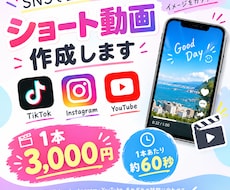ショート動画編集致します イメージ1