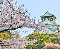 外国人配偶者との日本移住／帰国の相談に乗ります イメージ1