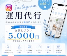 お試しプラン5,000円でお試しサポートします イメージ1