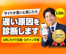 表示速度が遅い原因を診断し改善策をお伝えします URLだけで診断。原因と直す順番をレポートでご報告