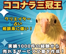 オカメインコが1サービス限定ココナラコンサルします イメージ1