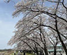 医療事務の方へ。職場での悩みお聞きします イメージ1