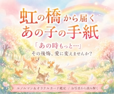 虹の橋からあの子の想いをお届けします イメージ1