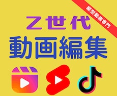 縦型動画の編集を格安、高品質で代行します イメージ1