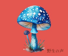 男性限定♡昭和の姉さんがあなたのモヤモヤを整えます 愚痴・悩み・雑談☾* 逃げ場所のない男たちの緊急シェルター