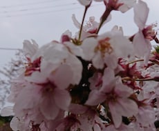 あなたの悩み愚痴なんでも聞きます イメージ1