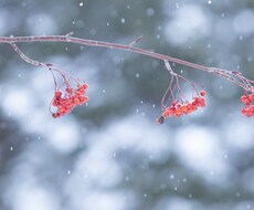 恋愛相談聞きます イメージ1