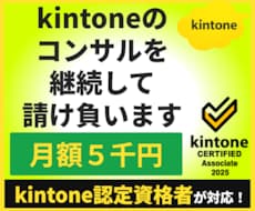 kintoneのコンサルを月額5千円で請け負います イメージ1