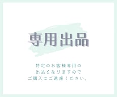 専用出品となります 特定のお客様専用の出品となります。