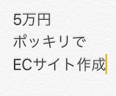 5万円ポッキリでECサイト（通販サイト）作ります ECサイトを作りたいけど予算が…という方