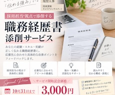 元リク×現役人事・キャリコンが職務経歴書添削します イメージ1
