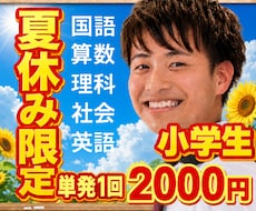 夏休み限定！小学生5教科！オンライン家庭教師します イメージ1