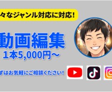 動画編集【様々なジャンル対応】します イメージ1