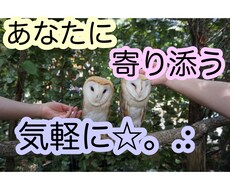3日トークルームでお話します イメージ1
