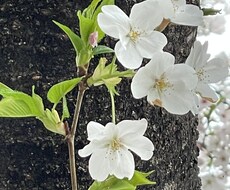 ポジティブに、元気になれるよう応援します イメージ1