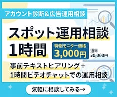 現役プロがWeb広告の単発診断・運用相談のります イメージ1