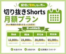 VTuber向け！切り抜きサブスクを制作します 配信に集中！切り抜きは毎月お任せ！