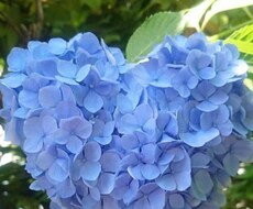 医療系専門職としてあなたの悩み相談をお聴きします イメージ1