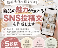 商品の魅力が伝わるSNS投稿文を作成します イメージ1