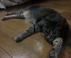 離婚経験者です。離婚危機の相談をさせてもらいます イメージ1