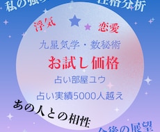 お試し価格◎生年月日から占います イメージ1