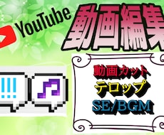 初回分限定価格！youtubeなど動画編集承ります イメージ1