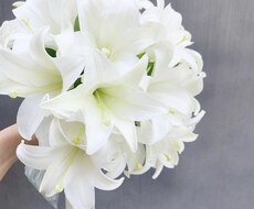 男性でも女性でもお話したい方お待ちしてます イメージ1