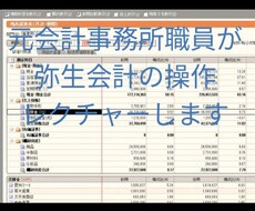 元会計事務所職員が【弥生会計】の使い方を教えます ビデオ通話で一緒に操作しながらなので確実に不安を解消できます