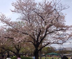 あなたの人に言えない悩みなど相談に乗ります イメージ1