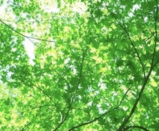 まずはお試し感覚で♪あなたのお話聴きます 優しい声で丁寧にあなたのお話に寄り添います