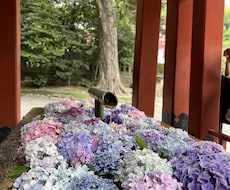 彼の気持ちMBTI×心理学で完全分析します 復縁⇨溺愛された経験者だからこそわかる分析です